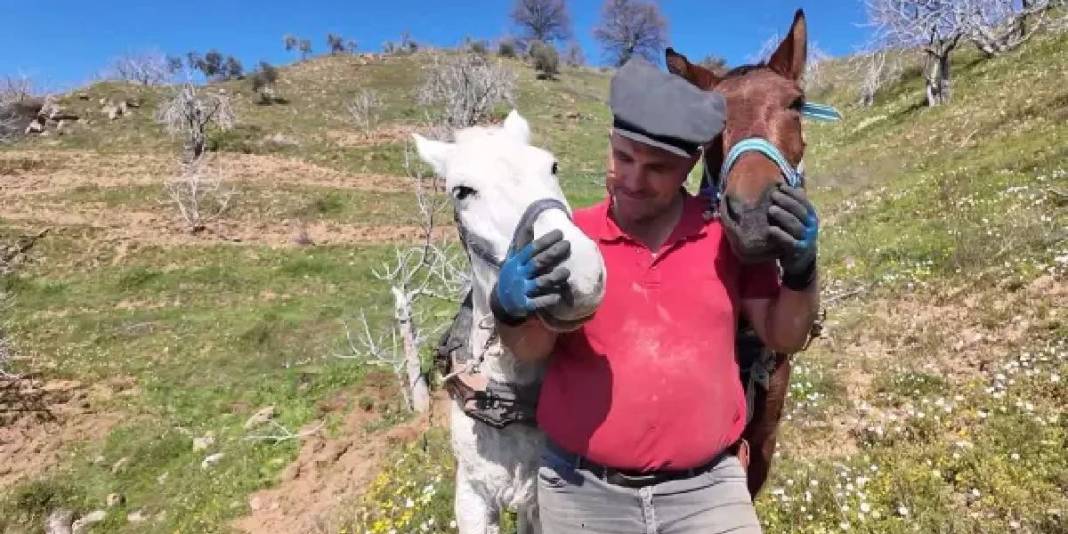 Ayda 240.000 TL kazandırıyor, kimse çalışmıyor: ’20 yıl içerisinde tamamen bitebilir’ 5